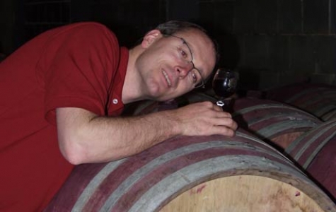 �kologischer Weinbau statt Massenware